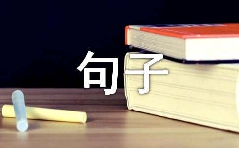 绳梯训练篮球_1