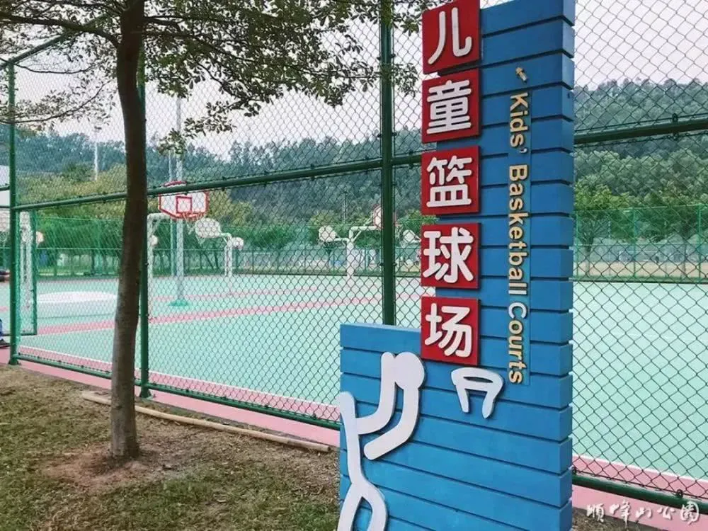 篮球周期训练计划内容有哪些_2